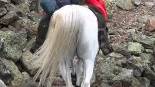 Colorado Trail Segment 21 by Horseback