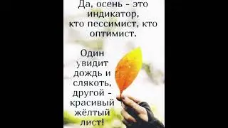 #фразы