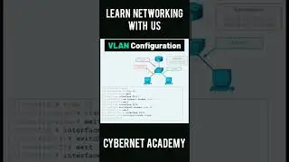 Cisco Switches VLAN Configuration Step-by-Step VLAN Configuration in Real Network | CCNA Lab Setup