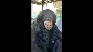 лучшие приколы🤣я угарал целый час