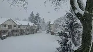 Quad Cities Blizzard Storm 1/12/24