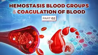 Hemostasis | Blood grouping | Blood coagulation cascade MCQs Part 02 | Coagulation of blood