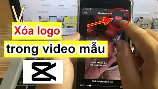 Cách sử sụng Capcut - Xóa logo Capcut khi sử dụng mẫu - Vtech.