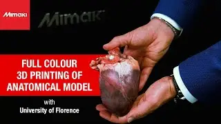 Full Color 3D Printing of an Anatomical Model | Case Study - University of Florence