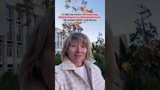 Мастер-класс: инициатива, проявленность и ответственность 