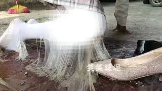 118期，小皮鞋踩胶水