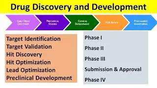 Drug Discovery and Development | Detailed Explanation of Preclinical and Clinical Steps |