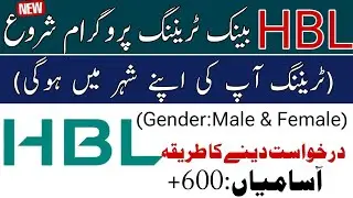 HBL Bank Training Program & Jobs 2026 | How to Apply Online | Fresh Graduates