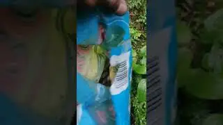 alhamdulillah rezki musim hujan | memukat | menjaring | #shorts