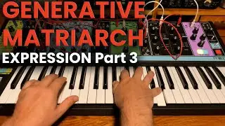 Generative Patching with Moog Matriarch - Generative Expression Part 3