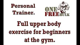 Full body exercise for beginners with personal trainer