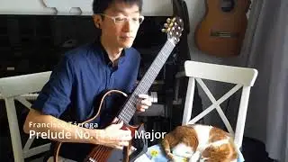 Prelude No. 11 in D Major - Francisco Tárrega - Classical Guitar - 20240612