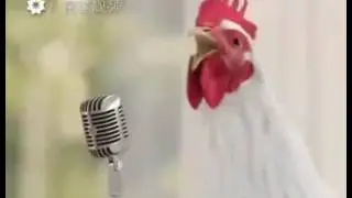 Рік півня 2017 рік