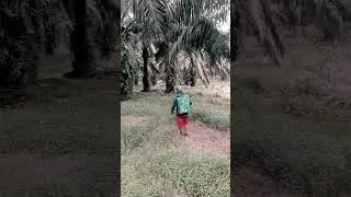 selalu berusaha untuk menghidupi anak istri #shorts #shortvideo #shots