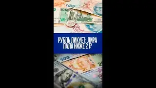 Лира обвалилась! Рубль бьёт рекорды: что происходит с валютами?