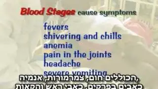 malaria with hebrew subtitles
