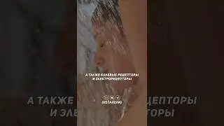 Что произойдёт, если принимать холодный душ 