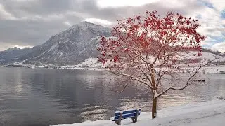 Зимний путь. Чарующая Мелодия. Лучшая музыка для Души. Прекрасный композитор Сергея Чекалина