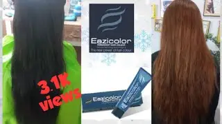 How to apply Eazicolor|Parmanent hair colour|STBP