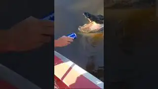 how a man drinks beer