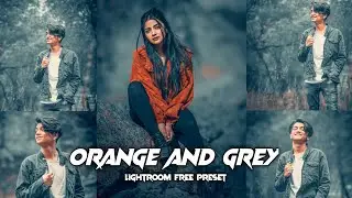 lightroom mobile presets | grey and orange lightroom preset