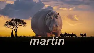 martin