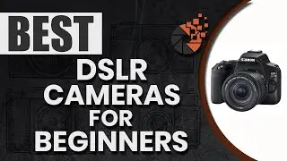 Best DSLR Cameras For Beginners 📸 : Top Options Reviewed | Digital Camera-HQ