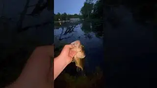 I canceled my vacation plans to fish here 