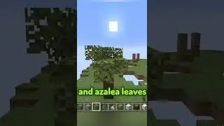 The WORST Minecraft Base EVER