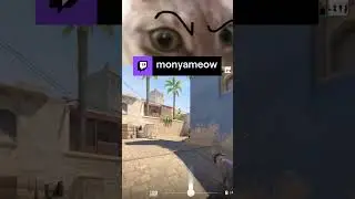 ЧБД?\ monyameow | monyameow с помощью #Twitch
