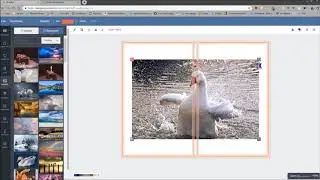 Book Bolt Designer - Creating No Content Book Covers for KDP (Print on Demand)