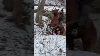 А где ваш конь?— У меня его нет... Зато есть ноги!