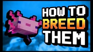 How to Breed Axolotls in Minecraft | Minecraft Server Hosting