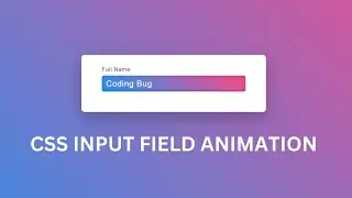 Input Field Animation CSS | CSS Floating Label 