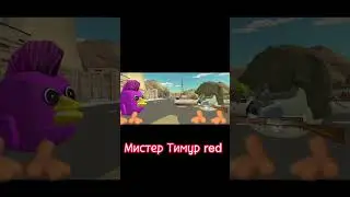 История попугая (анимация) 