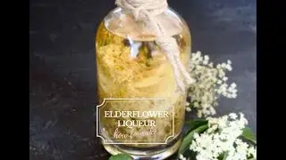 How to make delicate Elderflower liqueur