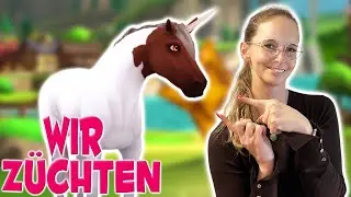 Heute wird gezüchtet 🐴 Wildshade PS5