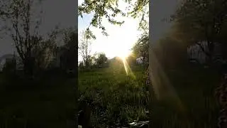 #деревня #дача #таймлапс