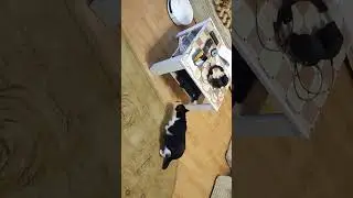 перша зустріч