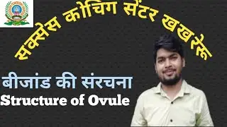 Anatomy Of Ovule