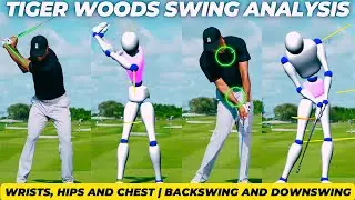 Sports Box 3D Reveals: Inside Tiger Woods Golf Swing