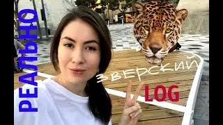 Корейский ЗООПАРК! Осень в Корее/ZOO