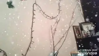 Новый Год уже близко!Пора наряжать елку!
