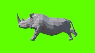 Rhino (genda)running green screen