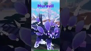 Muravil cos