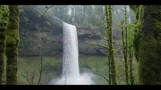 Continuous calming music: around the clock, aiding stress relief, sleep, meditation & study sessions