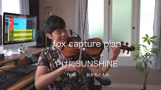 fox capture plan / やけにSUNSHINE feat. おかもとえみ (Jason Yang cover)