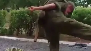 Универсальный солдат 21 века