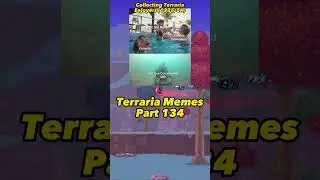 Can Terraria Console Players Relate? 