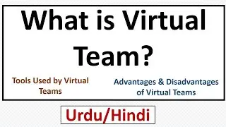 What is Virtual Team? Advantages and Disadvantages of Virtual Team